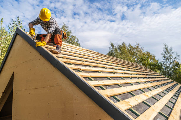 Best Roof Waterproofing Services  in Lone Tree, IA